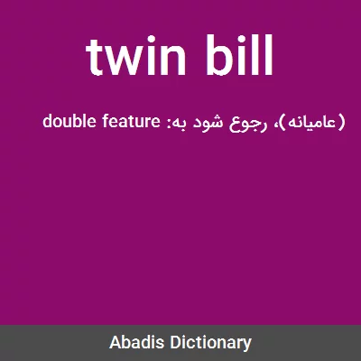 معنی twin bill